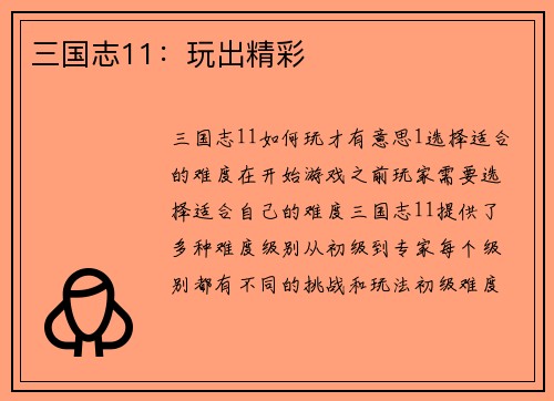 三国志11：玩出精彩